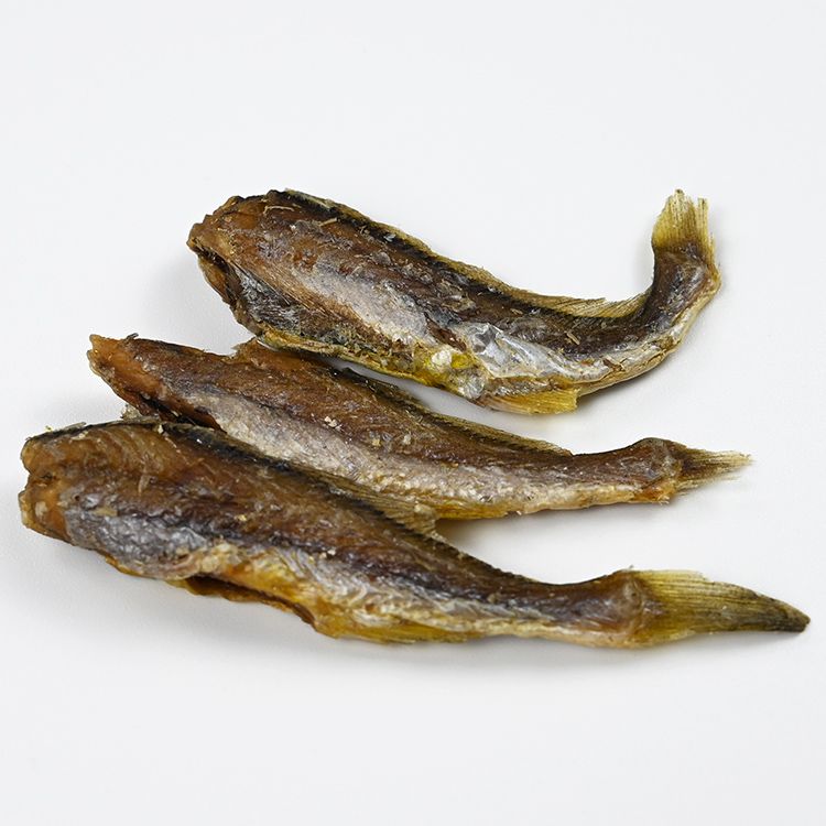 小黃魚