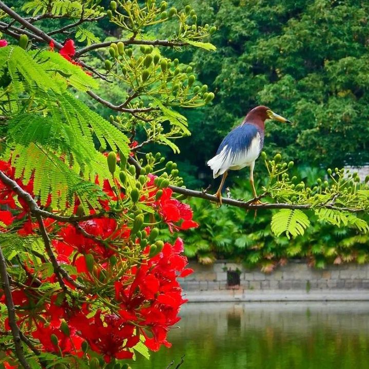 初夏吃什么好？